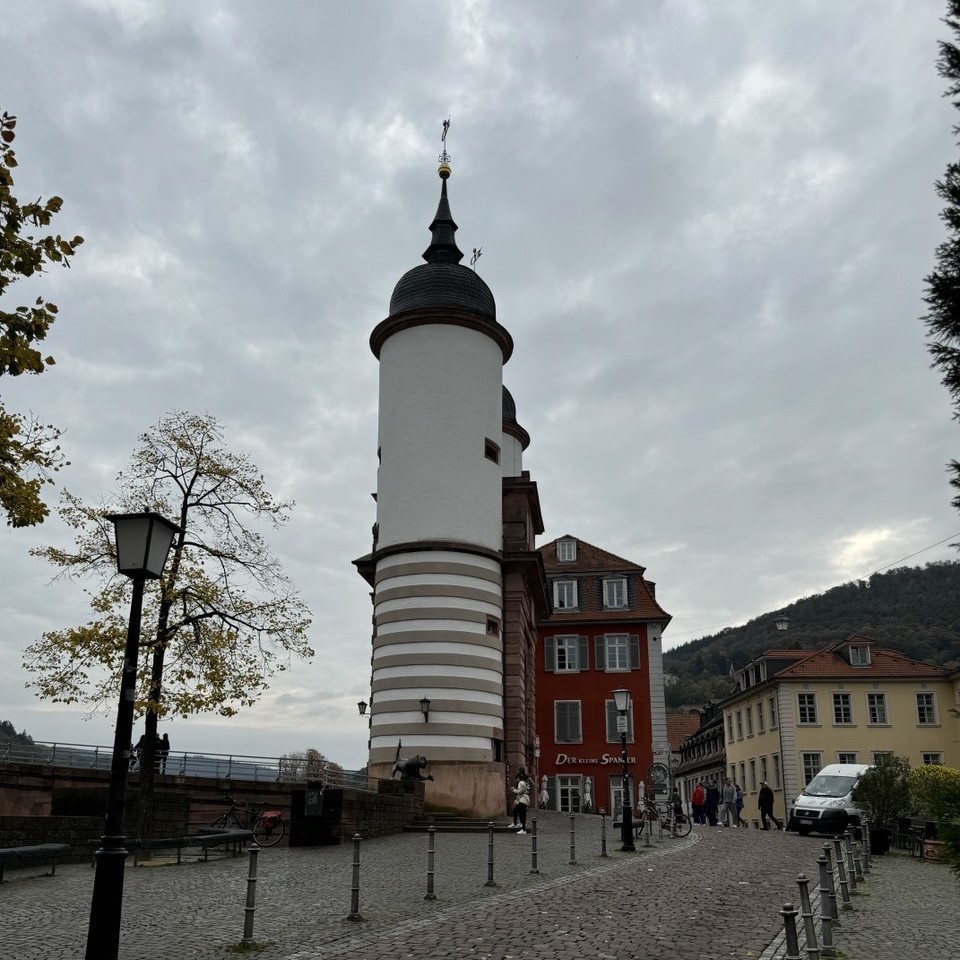 Blick auf Heidelberg